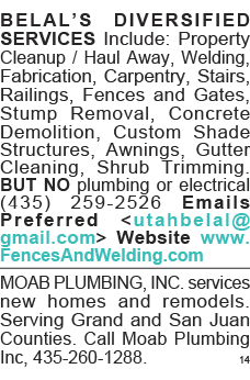 BELAL S DIVERSIFIED SERVICES Include: Property Cleanup   Haul Away, Welding, Fabrication, Carpentry, Stairs, Railings   