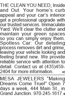 THE CLEAN YOU NEED, Inside and Out  Your home s curb appeal and your car s interior get a professional upgrade with o   