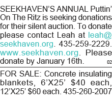 SEEKHAVEN S ANNUAL Puttin  On The Ritz is seeking donations for their silent auction  To donate please contact Leah a   