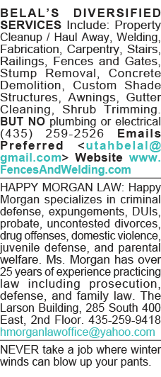 BELAL S DIVERSIFIED SERVICES Include: Property Cleanup   Haul Away, Welding, Fabrication, Carpentry, Stairs, Railings   