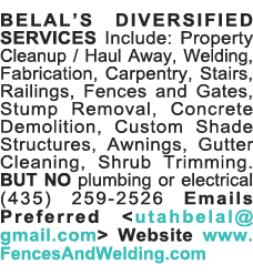 BELAL S DIVERSIFIED SERVICES Include: Property Cleanup   Haul Away, Welding, Fabrication, Carpentry, Stairs, Railings   
