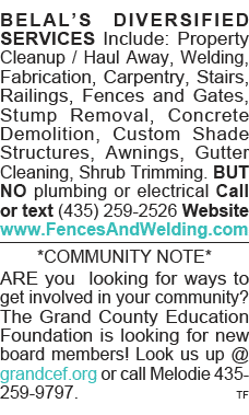 BELAL S DIVERSIFIED SERVICES Include: Property Cleanup   Haul Away, Welding, Fabrication, Carpentry, Stairs, Railings   