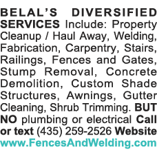 BELAL S DIVERSIFIED SERVICES Include: Property Cleanup   Haul Away, Welding, Fabrication, Carpentry, Stairs, Railings   