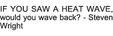 IF YOU SAW A HEAT WAVE, would you wave back  - Steven Wright 