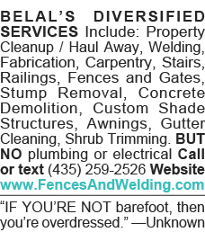 BELAL S DIVERSIFIED SERVICES Include: Property Cleanup   Haul Away, Welding, Fabrication, Carpentry, Stairs, Railings   