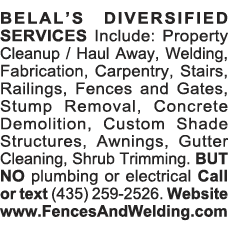 BELAL S DIVERSIFIED SERVICES Include: Property Cleanup   Haul Away, Welding, Fabrication, Carpentry, Stairs, Railings   