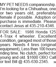 MY PET NEEDS companionship  I m looking for a Chihuahua, one or two years old, preferably female if possible  Adoptio   