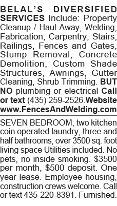 BELAL S DIVERSIFIED SERVICES Include: Property Cleanup   Haul Away, Welding, Fabrication, Carpentry, Stairs, Railings   